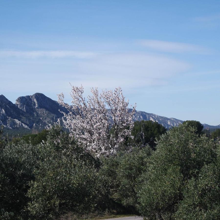 Mas Grimaud - Gite- Studio Et Chambres D'Hotes Familiales เอย์กาลิแยร์ ภายนอก รูปภาพ